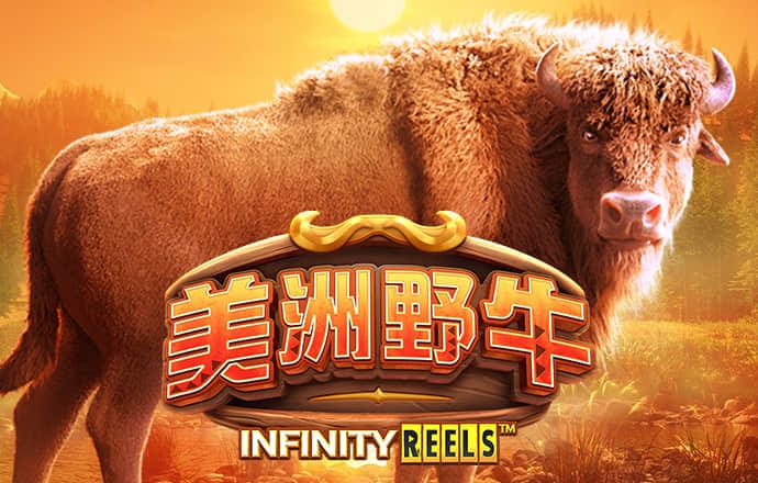 c7娱乐下载安装